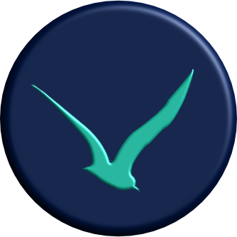 The round navy Seahawk badge with a turquoise seahawk
